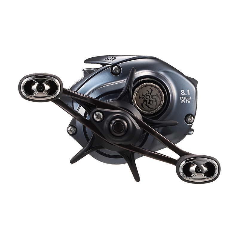 DAIWA 2025 TATULA SV TW100 Fis - Abu Garcia Reel Max review and price